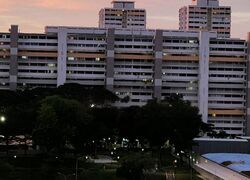 Blk 51 New Upper Changi Road (Bedok), HDB 4 Rooms #483991911